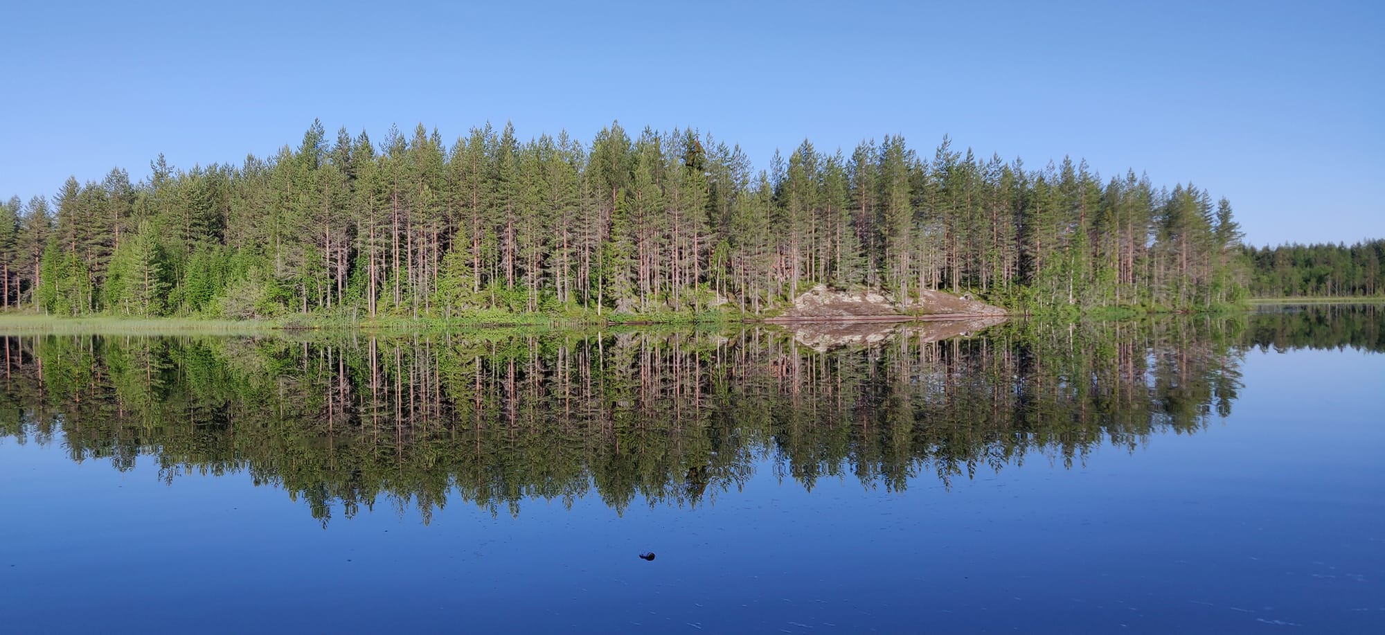 Finnish Burners' newsletter June 2025