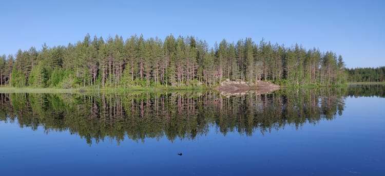 Finnish Burners' newsletter June 2025